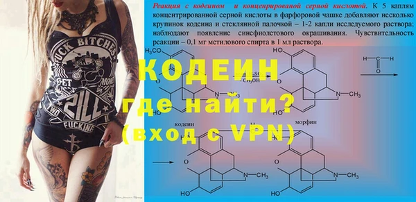 индика Беломорск