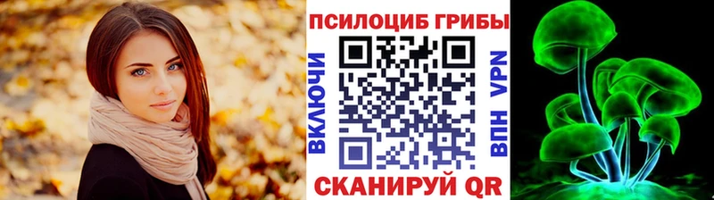 Купить  Сретенск  Псилоцибиновые грибы ЛСД 
